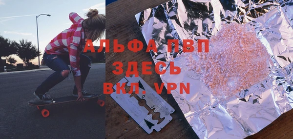 шишки Слюдянка