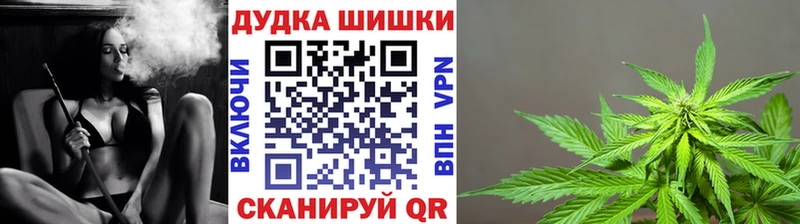 Каннабис ГИДРОПОН  купить  сайты  Богородск 